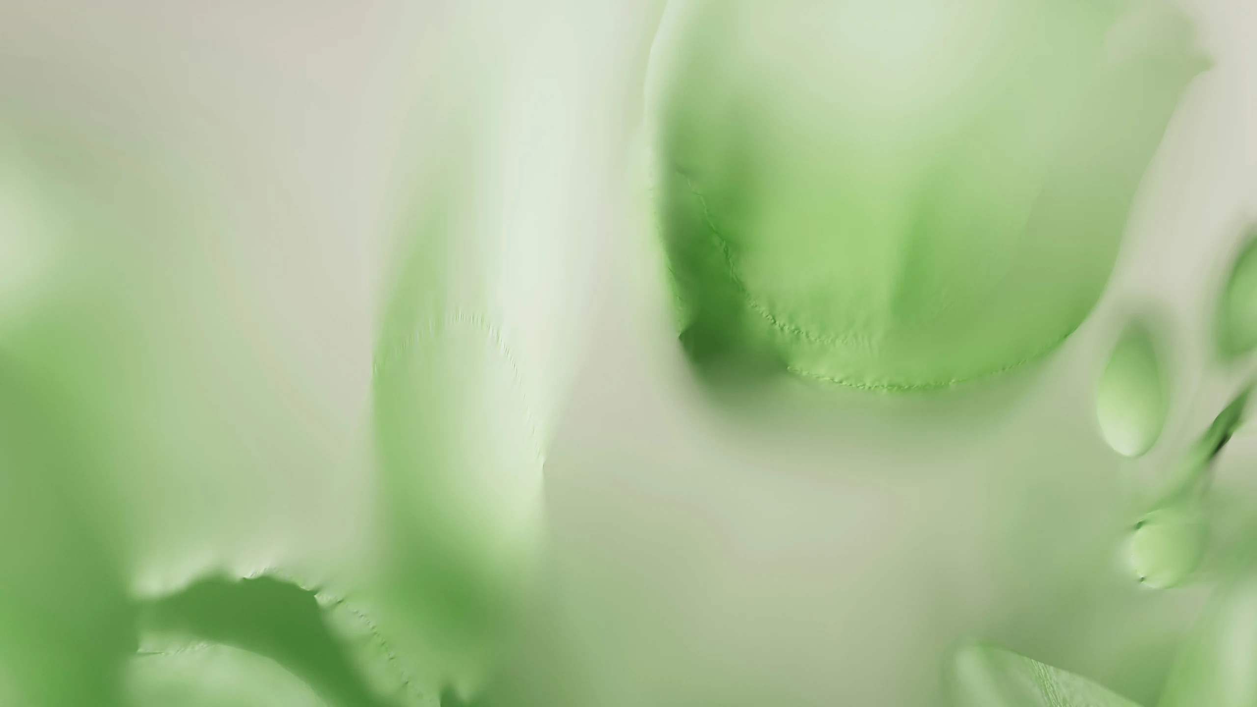 绿色算力